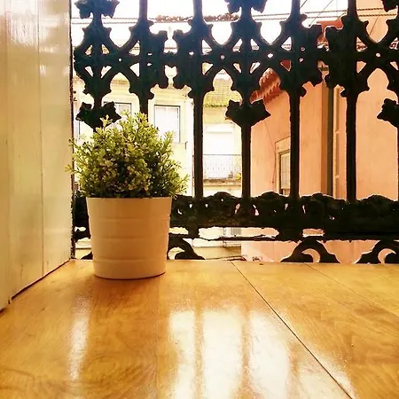 Eco Apartment *